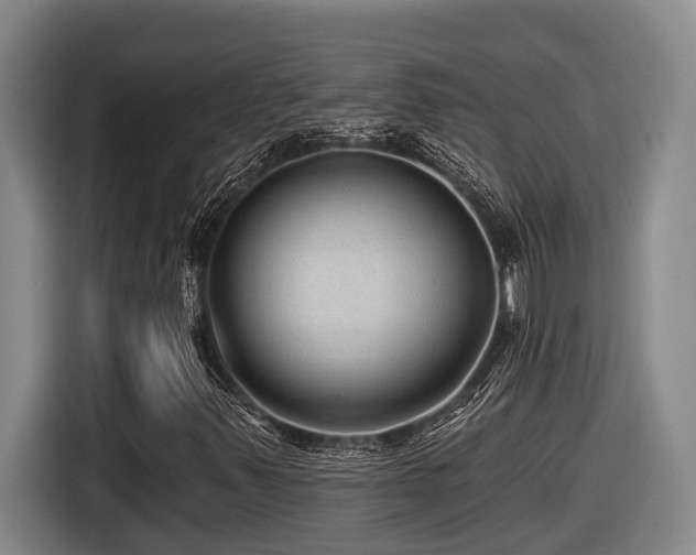 X0000116611347200912111126