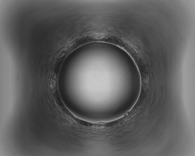 X0000116611349200912111126