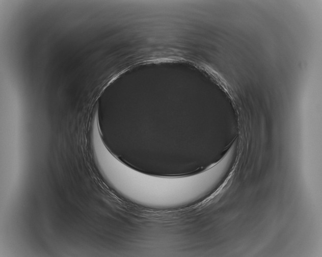 X0000116611353200912111125