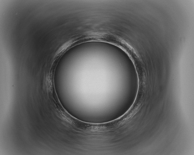 X0000116611354200912111125