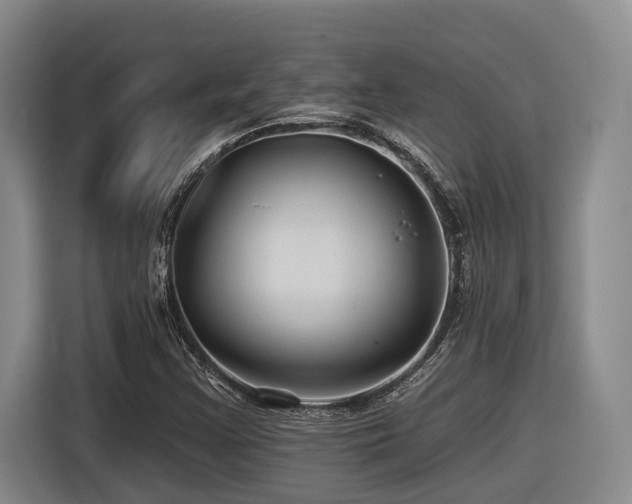 X0000116611355200912111125