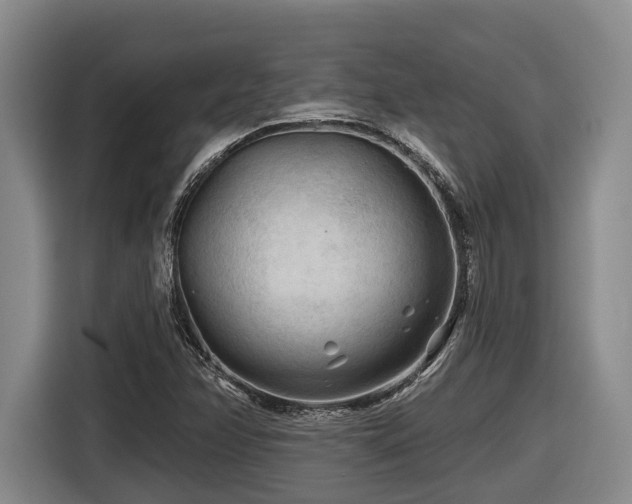X0000116611358200912111125