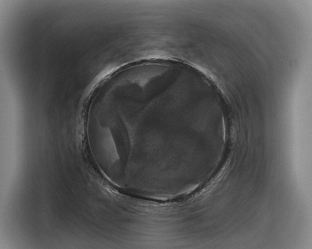 X0000116611359200912111125