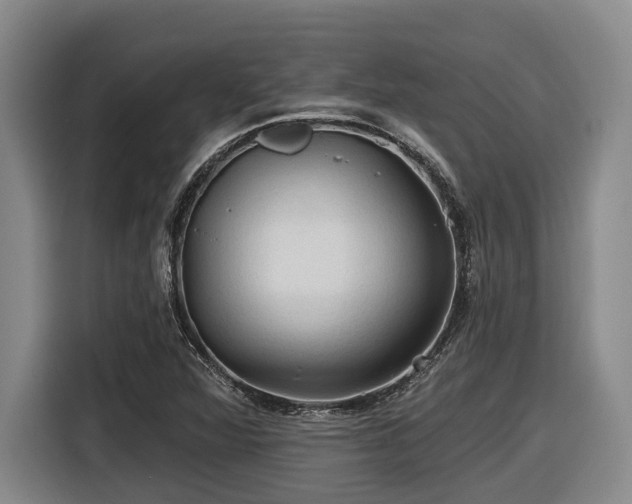 X0000116611360200912111125