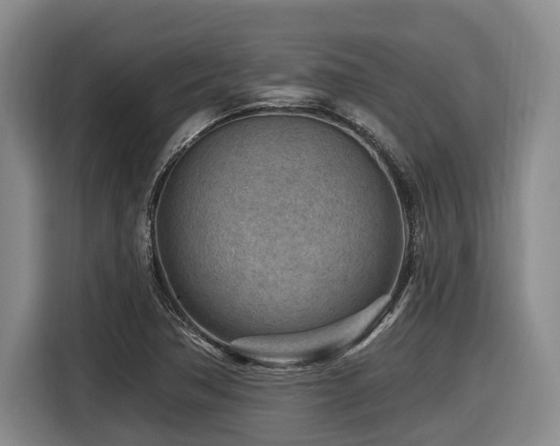 X0000116611362200912111125
