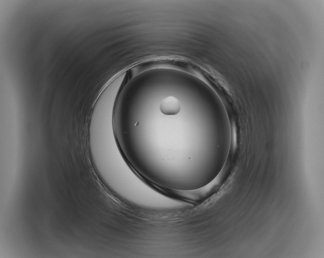 X0000116611369200912111125