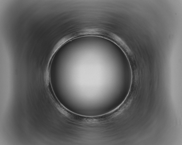 X0000116611370200912111125