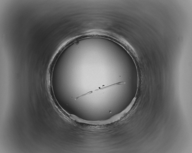 X0000116611376200912111125