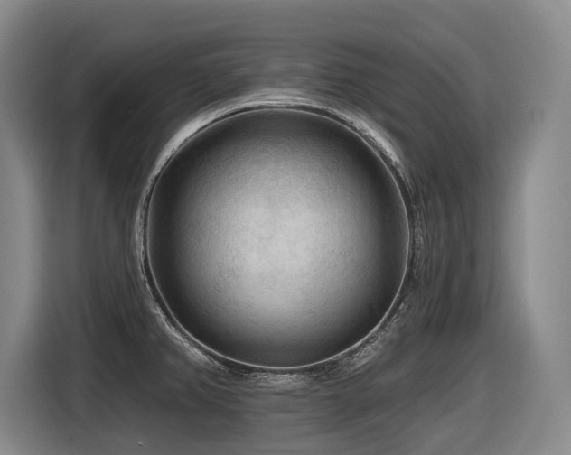 X0000116611382200912111125