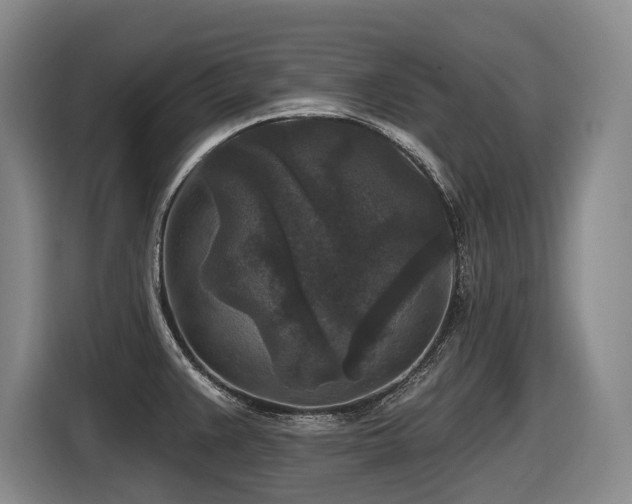 X0000116611383200912111125