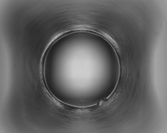 X0000116611384200912111125