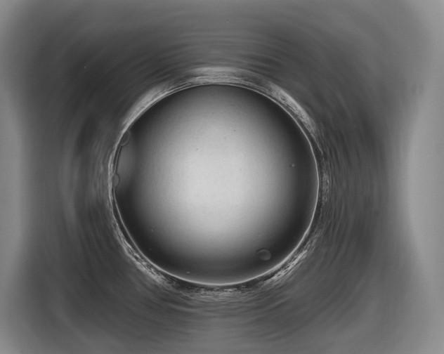 X0000116611386200912111125