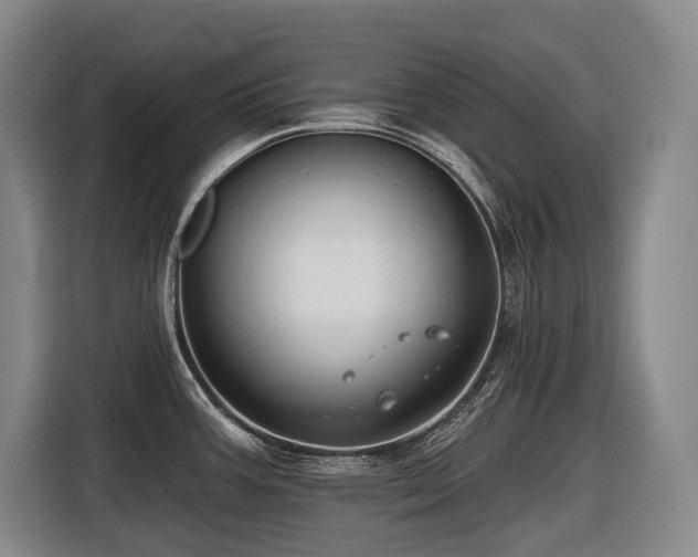X0000116611387200912111125