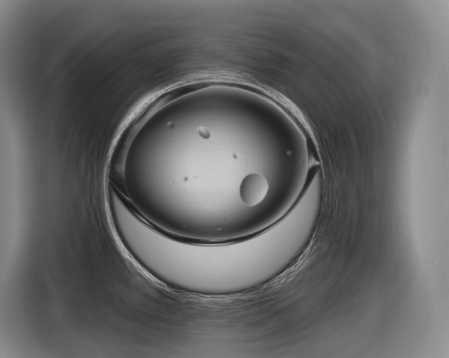 X0000116611389200912111125