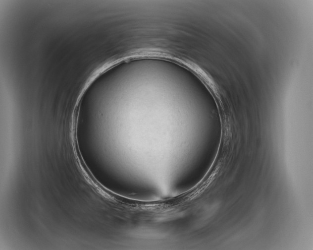 X0000116611390200912111125