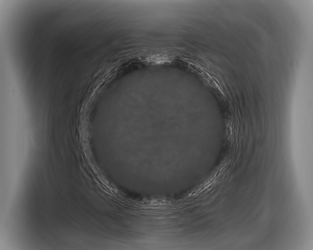X0000116611393200912111124