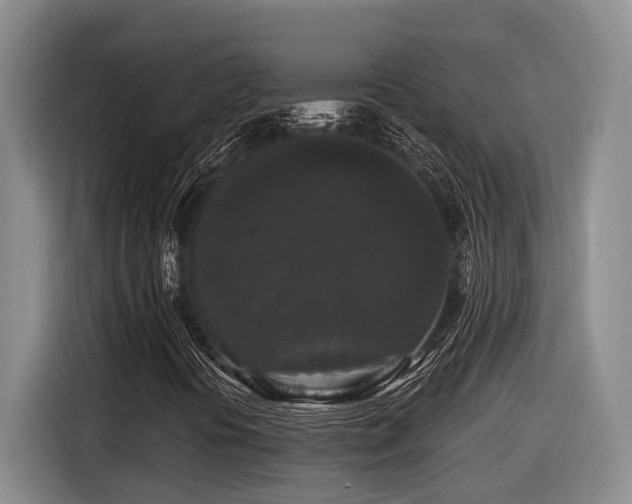 X0000116611394200912111124
