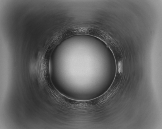 X0000116611395200912111124