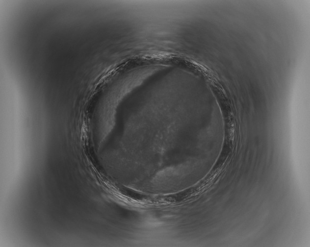 X0000116611397200912111124
