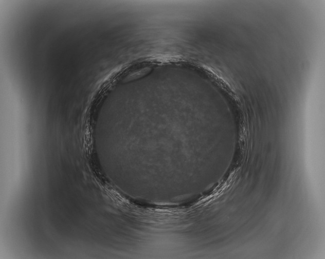 X0000116611398200912111124