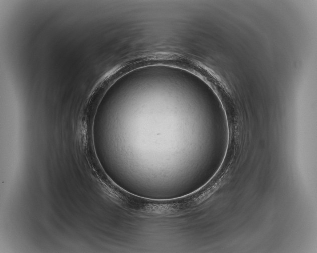 X0000116611402200912111124