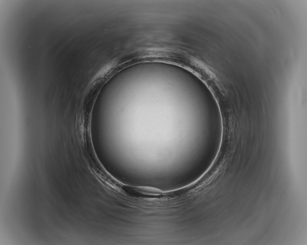 X0000116611403200912111124