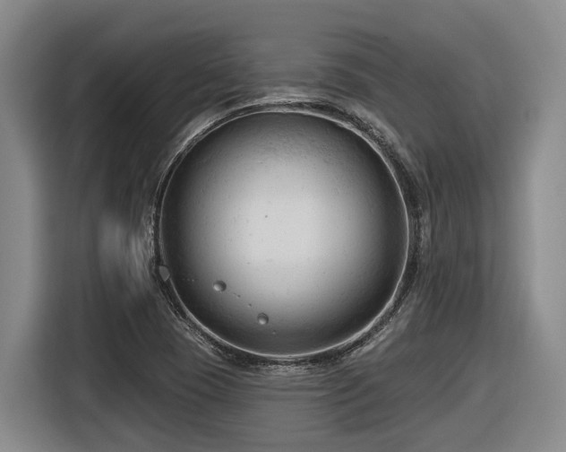X0000116611409200912111125