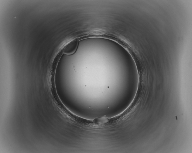 X0000116611410200912111125