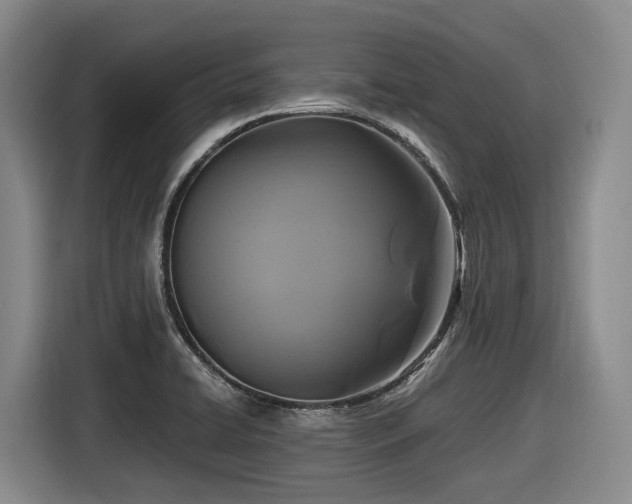 X0000116611422200912111125