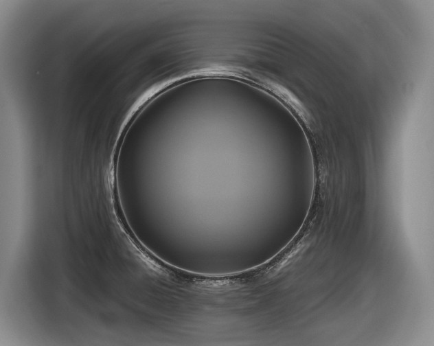 X0000116611428200912111125