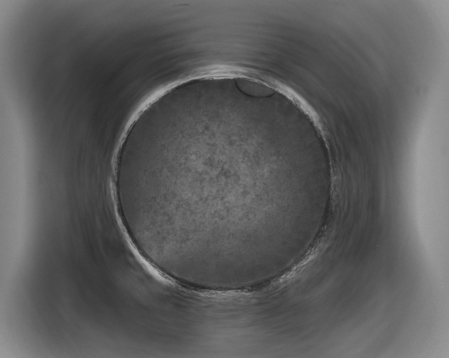 X0000116611429200912111125