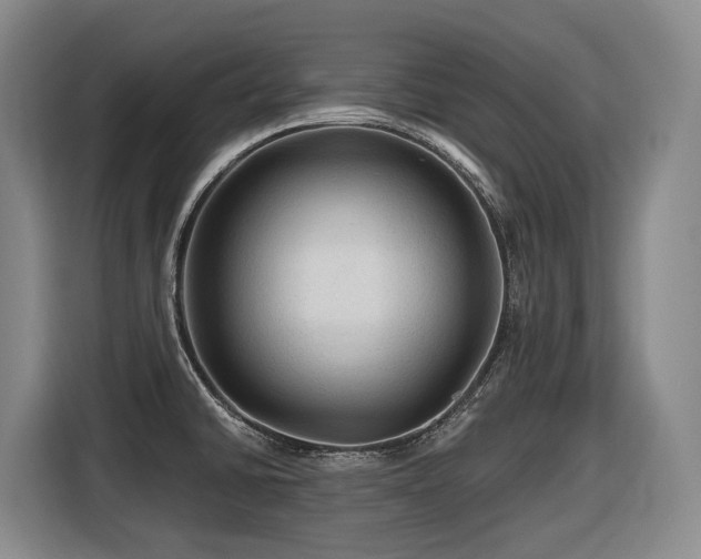 X0000116611430200912111125