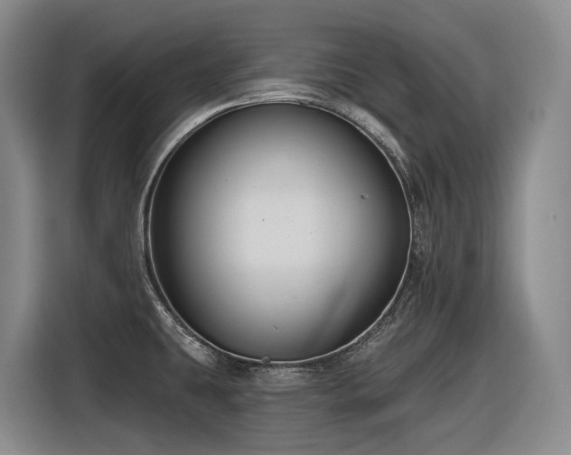 X0000116611431200912111125