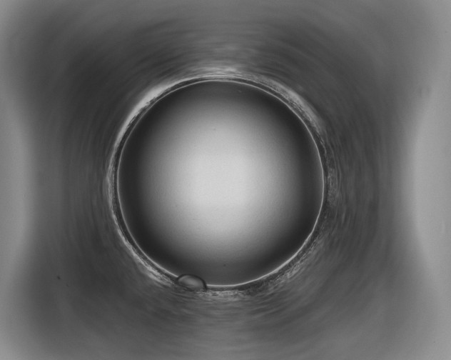 X0000116611432200912111125