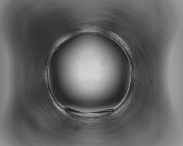 X0000116611433200912111125