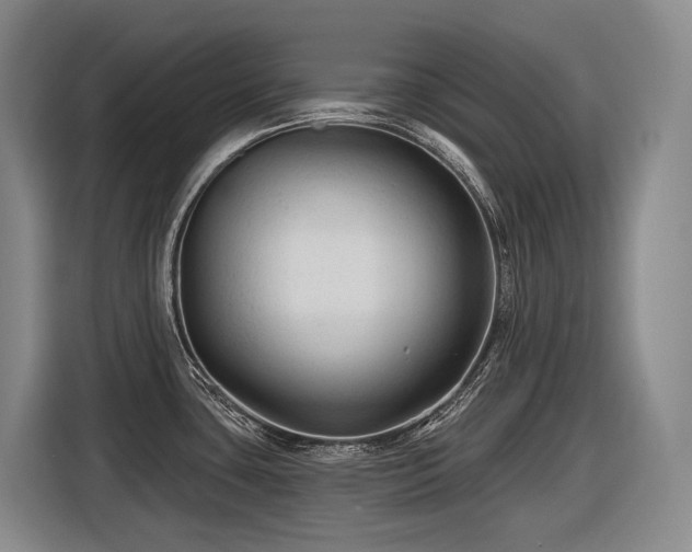 X0000116611435200912111125