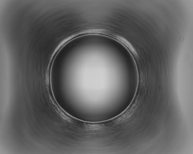 X0000116611436200912111125