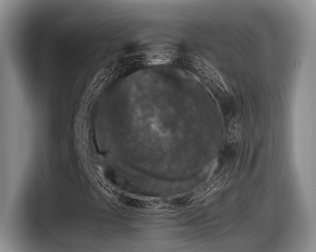 X0000116611441200912111124