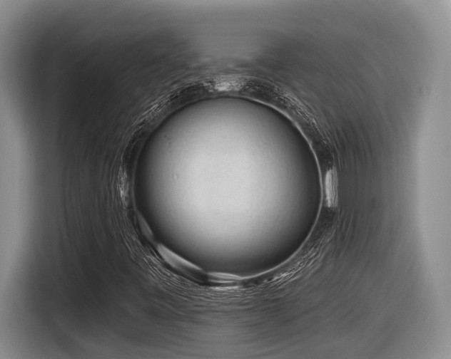 X0000116611443200912111124