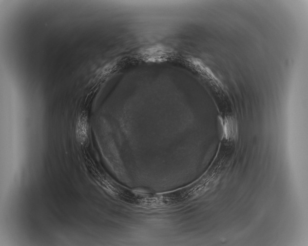 X0000116611444200912111124