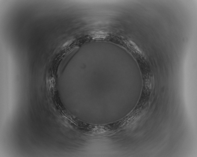 X0000116611445200912111124