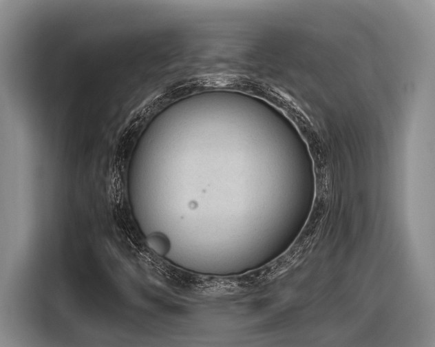 X0000116611446200912111124