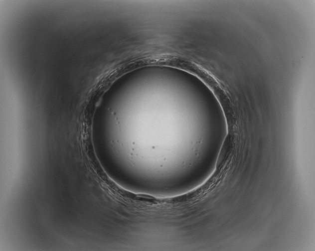 X0000116611447200912111124