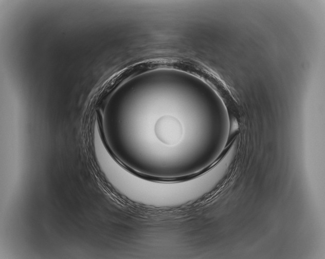 X0000116611448200912111124