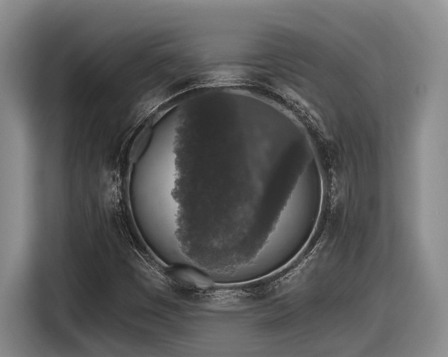 X0000116611449200912111124