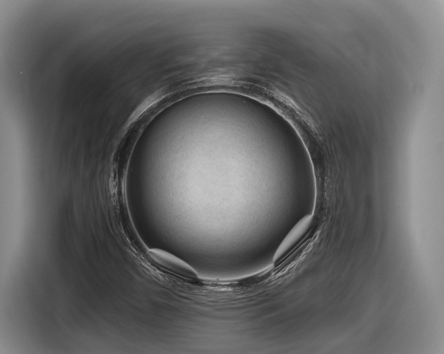 X0000116611450200912111124