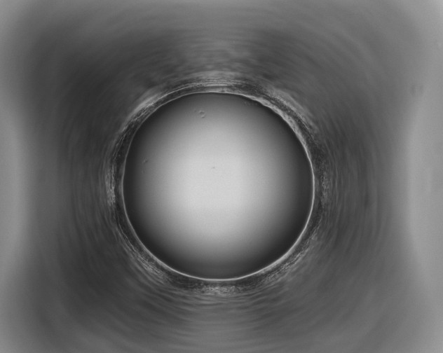 X0000116611451200912111124