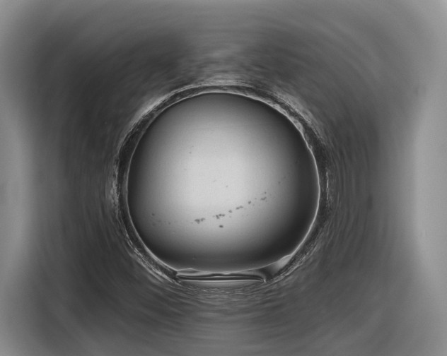 X0000116611452200912111124