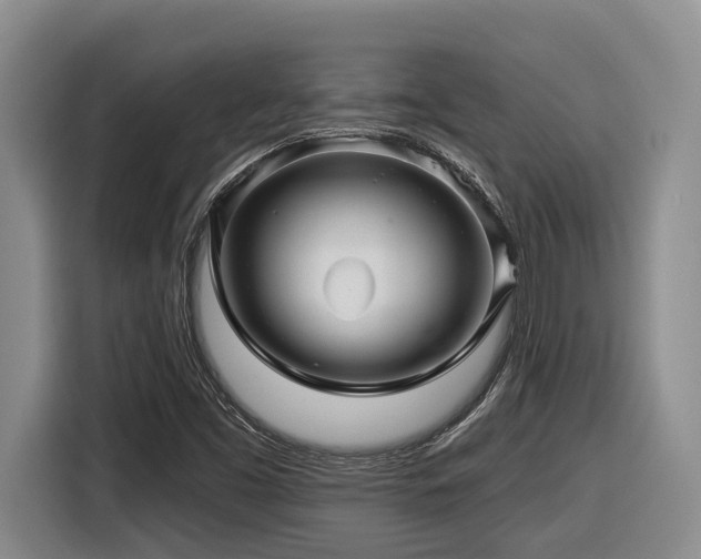 X0000116611453200912111124