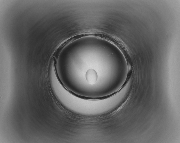 X0000116611457200912111124